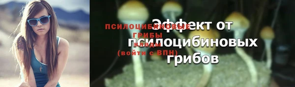 трава Армянск