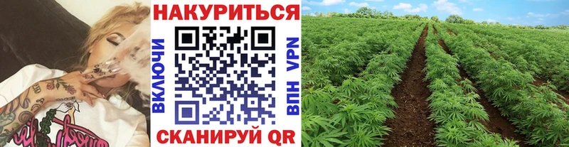 МАРИХУАНА ГИДРОПОН  купить наркотик  Лянтор 